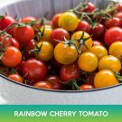 Rainbow Cherry Tomato Mix Seed Easy to Grow