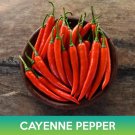 Cayenne Pepper Seeds Easy to Grow