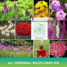 All Perennial Wildflower Mix Seeds Combined On 500 Seed Varieties Easy to Grow