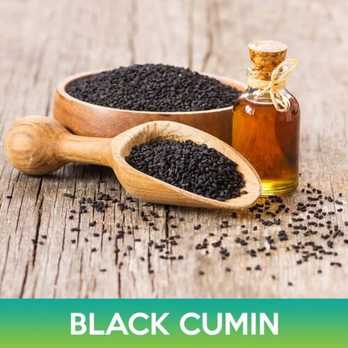 Black Cumin Seeds Nigella Sativa Easy to Grow
