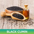 Black Cumin Seeds Nigella Sativa Easy to Grow