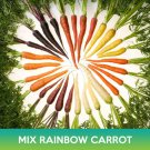 Rainbow Carrot Mix Seeds Easy to Grow
