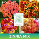 Zinnia Flower Mix Seeds Easy to Grow