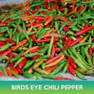 Birds Eye Chili Pepper Seeds Thai Chili Pepper Easy to Grow