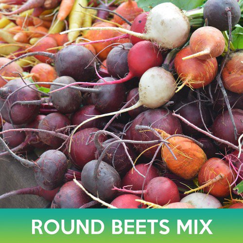 Round Beets Mix Seeds Easy to Grow