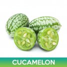 Cucamelon Seeds Mouse Melon Mexican Sour Gherkin Easy to Grow