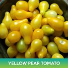 Yellow Pear Tomato Seed Easy to Grow