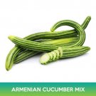 Armenian Cucumber Mix Seeds Snake Cucumber Combined On 500 Seed Easy to Grow