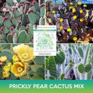 Prickly Pear Cactus Mix Seeds Opuntia Easy to Grow