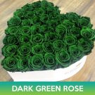 Dark Green Rose Seeds Easy to Grow