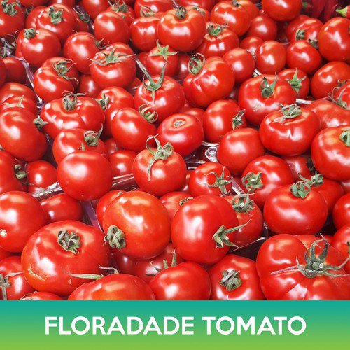 Floradade Tomato Seed Easy to Grow