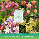 Mckana Giant Columbine Mix Seeds Aquilegia Hybrida Easy to Grow