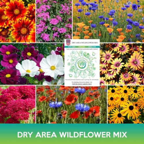 Dry Area Wildflower Mix Seeds Easy to Grow