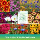 Dry Area Wildflower Mix Seeds Easy to Grow