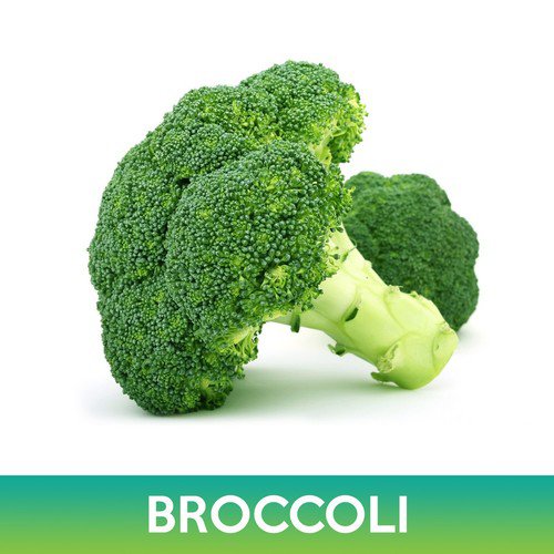 Broccoli Seeds Easy to Grow