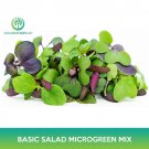 Basic Salad Microgreens Mix Seeds Easy to Grow