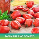 San Marzano Tomato Seeds Easy to Grow