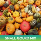 Small Gourd Mix Seeds Easy to Grow