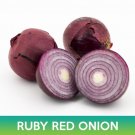 Ruby Red Onion Seeds Allium Cepa Easy to Grow Ruby Red Onion Seeds Allium Cepa Easy to Grow