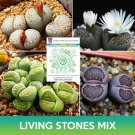Living Stones Succulent Mix Seeds Lithops Julii Easy to Grow
