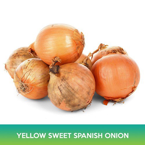 Yellow Sweet Spanish Onion Seeds Easy to Grow