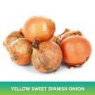 Yellow Sweet Spanish Onion Seeds Easy to Grow
