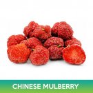 Chinese Mulberry Seeds Cudrania Tricuspidata Easy to Grow