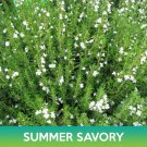 Summer Savory Seeds Satureja Hortensis Easy to Grow