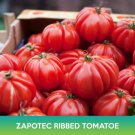 Zapotec Oaxacan Ribbed Tomato Seeds Easy to Grow