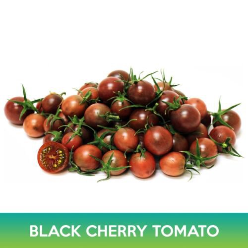 Black Cherry Tomato Seeds Easy to Grow