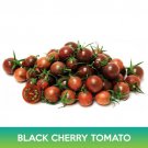 Black Cherry Tomato Seeds Easy to Grow