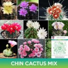 Chin Cactus Mix Seeds Gymnocalycium Easy to Grow