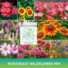 Northeast Wildflower Mix Seeds Easy to Grow