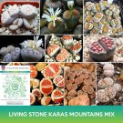 Living Stone Karas Mountains Mix Seeds Lithops Karasmontana Easy to Grow