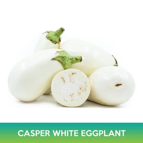 Casper White Eggplant Seeds Easy to Grow