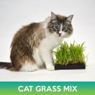 Cat And Pet Grass Mix Seeds Easy to Grow