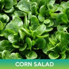 Corn Salad Seeds Lamb'S Lettuce Valerianella Locusta Easy to Grow