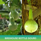 Birdhouse Bottle Gourd Seeds Calabash Easy to Grow