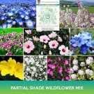 Partial Shade Wildflower Mix Seeds Easy to Grow