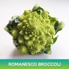 Romanesco Broccoli Seeds Roman Cauliflower Easy to Grow