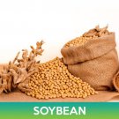 Soybean Seeds Glycine Max Easy to Grow