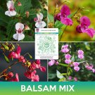 Balsam Flower Mix Seeds Impatiens Balsamina Easy to Grow