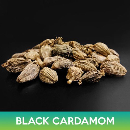 Black Cardamom Seeds Amomum Subulatum Easy to Grow