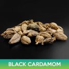 Black Cardamom Seeds Amomum Subulatum Easy to Grow