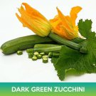 Dark Green Zucchini Seeds Easy to Grow