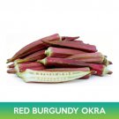 Red Burgundy Okra Seeds Easy to Grow