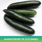 Marketmore 76 Cucumber Seeds Easy to Grow
