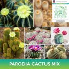Parodia Cactus Mix Seeds Easy to Grow