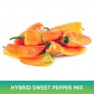 Hybrid Sweet Pepper Mix Seeds Aura Pepper And Glow F1 Bell Pepper Easy to Grow