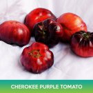 Cherokee Purple Tomato Seeds Easy to Grow
